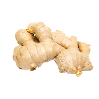 ginger root